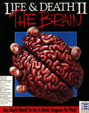 Life & Death 2 – The Brain