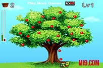 Catch The Sweet Apples