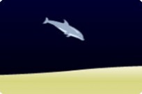 Dolphin Olympics gameplay