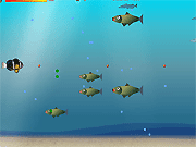 Fish Adventure gameplay