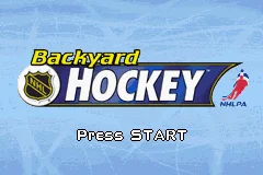 Backyard Hockey