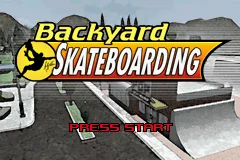 Backyard Skateboarding