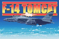 F-14 Tomcat
