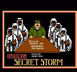 Operation: Secret Storm