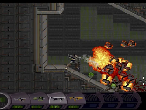 Killing bugs is your main activity in this game