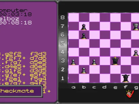 Checkmate! I... lost!