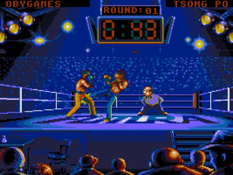 A good solid kick to the thigh (VGA)