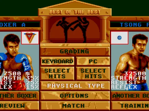 You can view the attributes of each fighter by going to physical type. (VGA)
