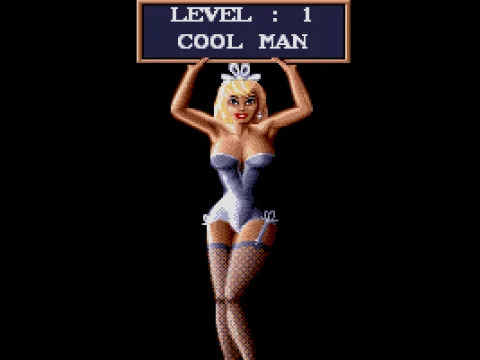Level announcer (VGA)