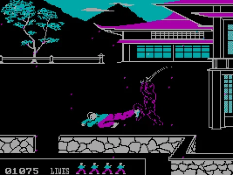 Kicking a ninja into oblivion.