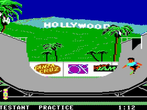 Skateboarding (MCGA/VGA)