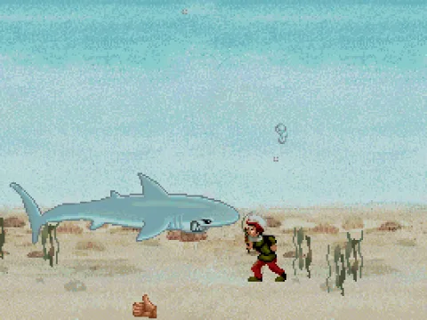 Fights, fights, fights. Fencing with a shark...