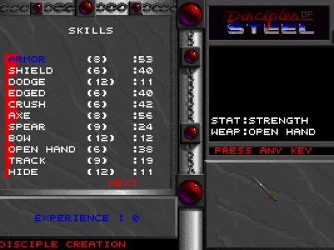 When you create a character, there are lots of skills to upgrade.