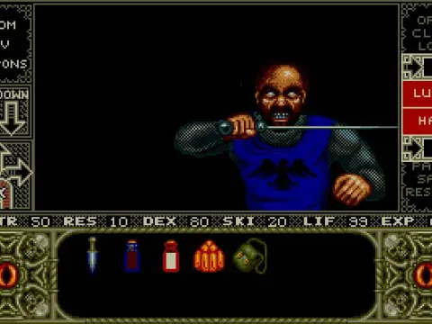 Getting chopped by the Captain of the Guard