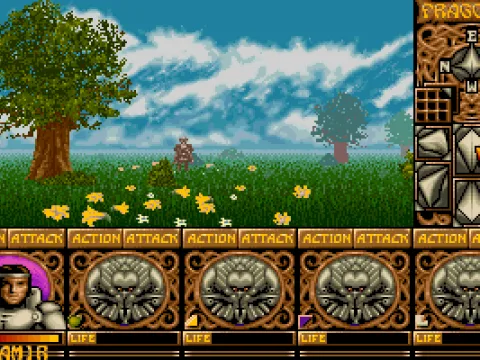 Where the game begins