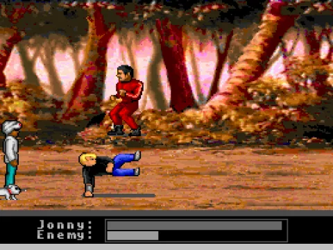 A combat scene: Karate Kid Jonny in action.