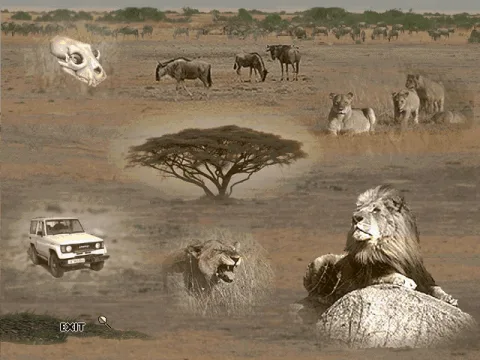Lion safari, the on-line encyclopedia.