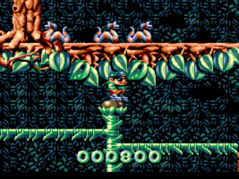 I wonder how this plants has grown so fast