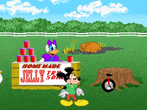 There are so many things to see and do at the fair.