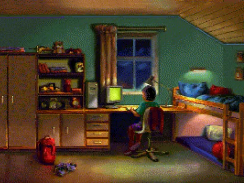 A boy is sitting in front of his computer