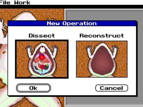 Do you want to dissect it or reconstruct it?