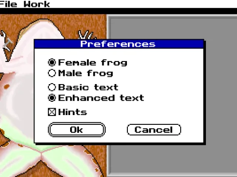 Preferences section