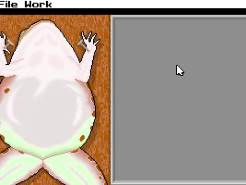 Starting of the game