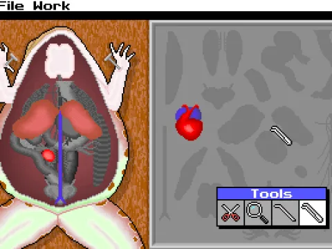 Successfully opened its body! Now place the organs to the tray