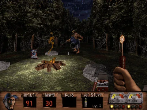 Nice campfire. Want a hotdog to go roast?