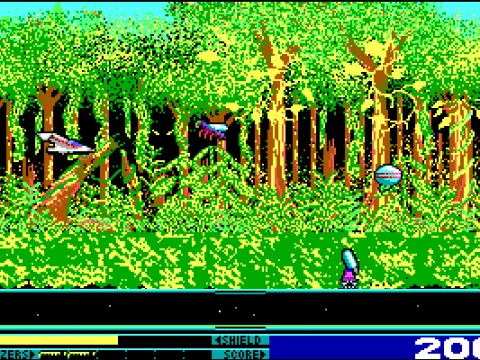 the forest zone - EGA