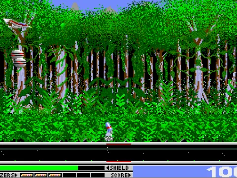 the forest zone - MCGA/VGA