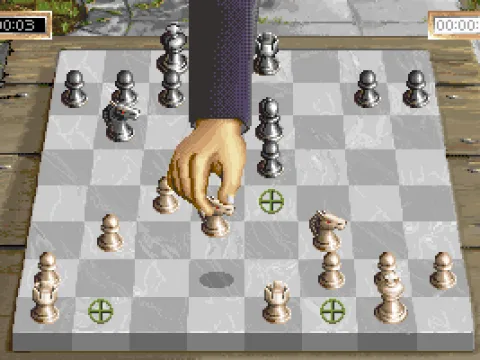 (VGA) In Beginner Mode, it shows you move options