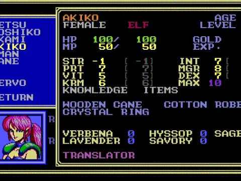 Viewing character information