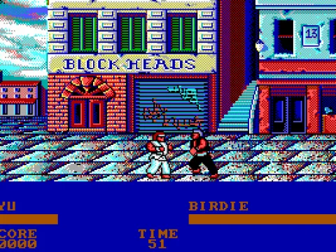 Ryu fighting Birdie (EGA)