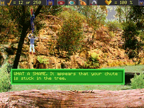 Parachute stuck in a tree.