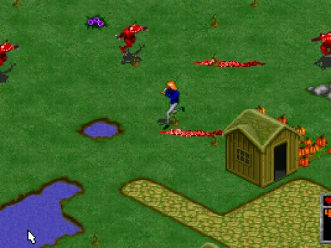 Try to kill the enemies before they reach your village.