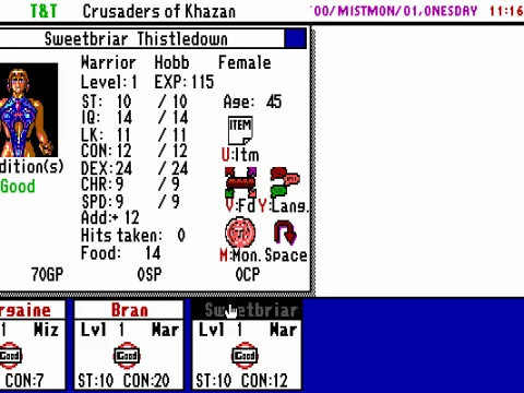 The character status screen shows a portrait, stats, and lets you view their inventory and equipment