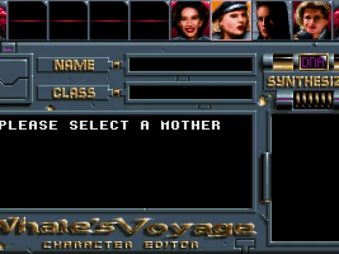 Character creation involves selecting a father and a mother for your hero