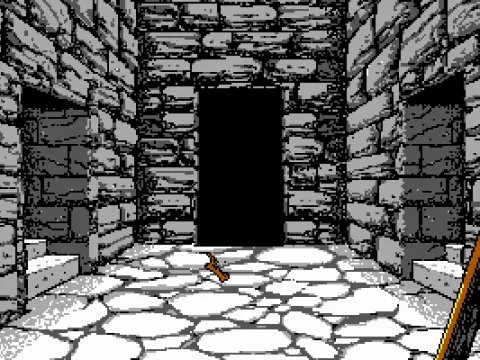 lost in the dungeons - EGA