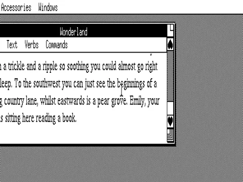 CGA Display Option (No Graphics Available)