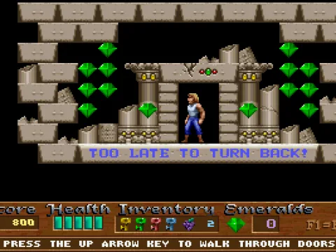 Certain doorways lead to bonus areas.