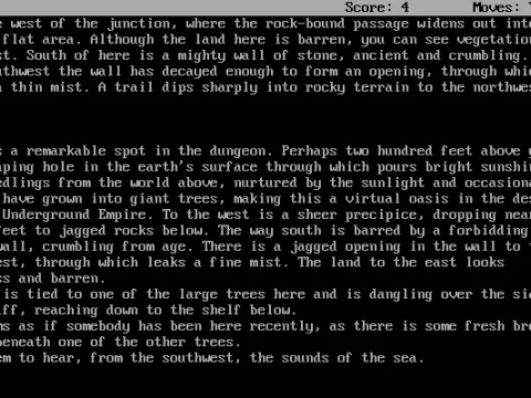 A remarkable spot in the dungeon - it almost makes you wish the game had graphics.