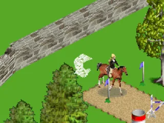 You have to ride between the blue flags to mark them