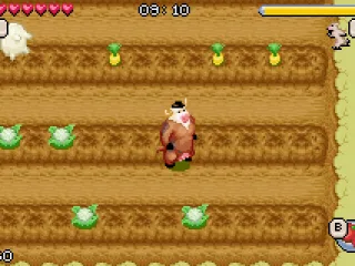 Walking across a vegateble patch