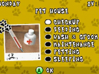 Main menu. Choose what to do with your pet.