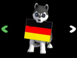 Select your language