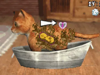 Washing our filthy little beast.