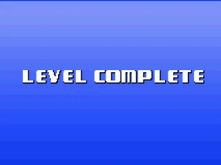 Level finish screen