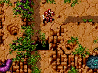 Navigating through the maze