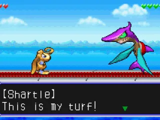 Shark, bossing around